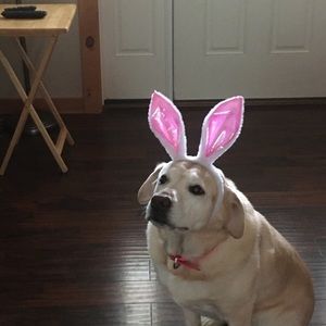 Meet your Posher, Virginia